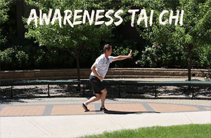 Awareness Tai Chi